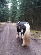 thumb 2021 128 april copy