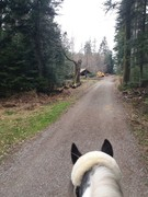 thumb 2021 135 april copy