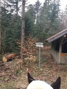 thumb 2021 136 april copy