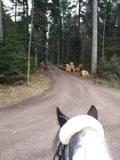 thumb 2021 137 april copy