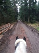 thumb 2021 138 april copy