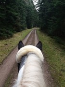 thumb 2021 139 april copy