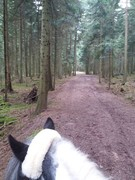 thumb 2021 140 april copy