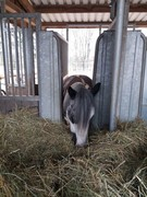 thumb 2021 142 april copy