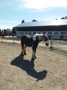 thumb 2021 144 april copy