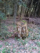 thumb 2021 146 april copy