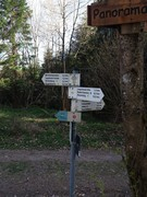 thumb 2021 147 april copy