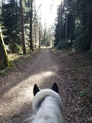 thumb 2021 148 april copy