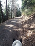 thumb 2021 149 april copy