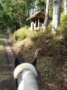 thumb 2021 152 april copy