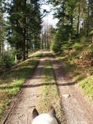 thumb 2021 153 april copy