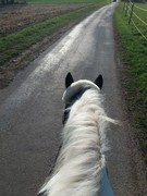 thumb 2021 156 april copy