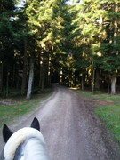 thumb 2021 157 april copy