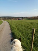 thumb 2021 158 april copy