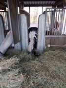 thumb 2021 161 april copy