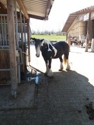 thumb 2021 162 april copy