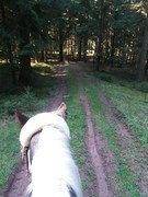 thumb 2021 163 april copy