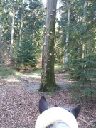 thumb 2021 164 april copy