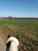 thumb 2021 165 april copy