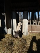 thumb 2021 167 april copy