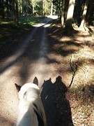 thumb 2021 168 april copy