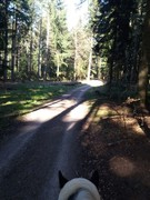 thumb 2021 169 april copy