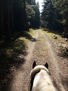 thumb 2021 170 april copy