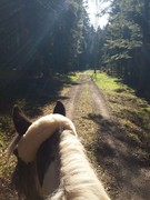 thumb 2021 171 april copy