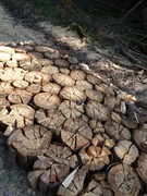 thumb 2021 172 april copy