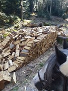 thumb 2021 173 april copy