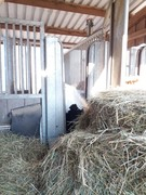 thumb 2021 175 april copy