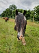 2021 275 august copy