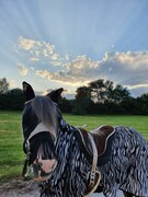 2021 278 august copy