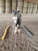 2022 04 april 137 copy