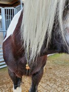 2022 04 april 140 copy