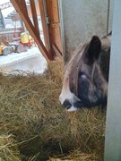 2022 04 april 141 copy