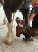 2022 09 september 290