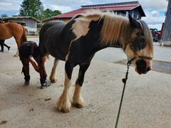 2022 09 september 291