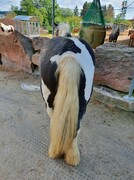 2022 09 september 292