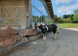 2022 09 september 293