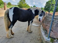 2022 09 september 294