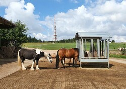 2022 09 september 295