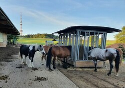 2022 09 september 296