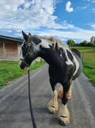 2022 09 september 298