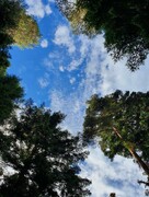 2022 09 september 299