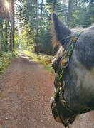 2022 09 september 300