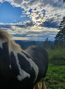 2022 09 september 303