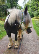 2022 09 september 305