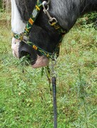 2022 09 september 306