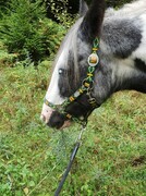 2022 09 september 307